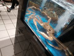-大润发(康桥店)