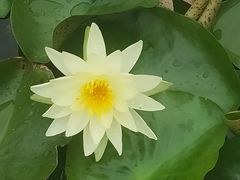 -西湖国宾馆·紫薇厅