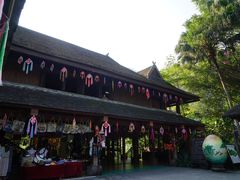 -西双版纳原始森林公园