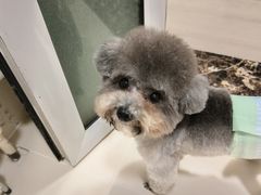 -久久宠物(河东万达店)