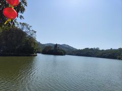 -深圳仙湖植物园