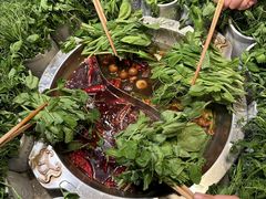 -大龙燚火锅(春熙店)
