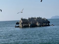 -龙爪山国家地质公园