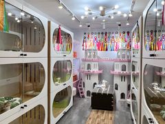 -青奢宠物·青奢猫舍