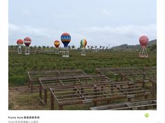 -亚龙湾国际玫瑰谷