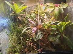 -Rabbit Cafe私房西餐甜点咖啡(栖霞路店)