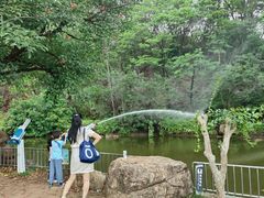 -广东花都湖国家湿地公园