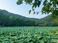-八卦田遗址公园