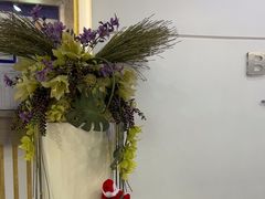 -泰康拜博口腔(世博园乐尔店)