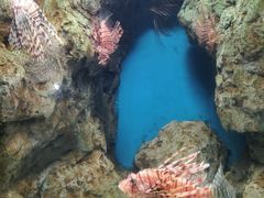 -福州罗源湾海洋世界旅游区