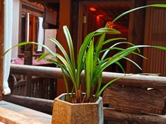 -叶叶菩提·晋福宫