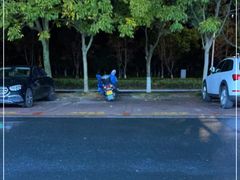 -浔味·山屿湖·正宗全鱼宴老字号
