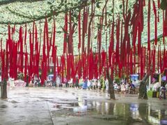 -西双版纳原始森林公园