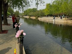-元大都城垣遗址公园