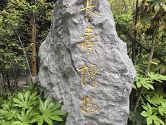 -水绘园