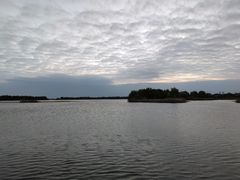 -贡湖湾湿地公园