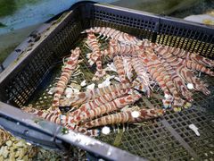 -海九澎湖海鲜餐厅