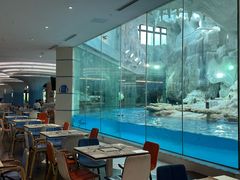 -帝企鹅自助餐厅•儿童岛•真企鹅(长隆企鹅酒店)