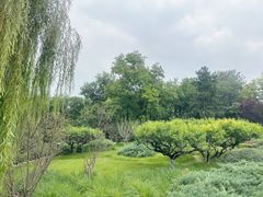 -元大都城垣遗址公园