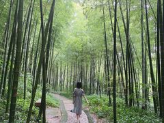-南山风景名胜区