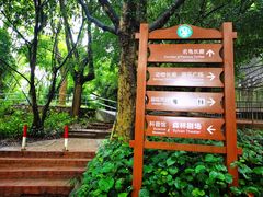 -广东茂名森林公园