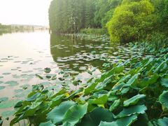-东湖落雁景区