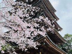 -醍醐寺