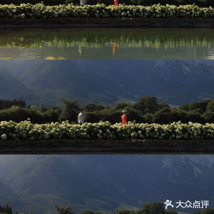 [鼓掌]妙啊！一级棒的原片直出！电影感满分
