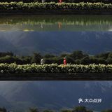 [鼓掌]妙啊！一级棒的原片直出！电影感满分