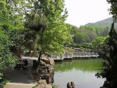 -白马涧龙池景区