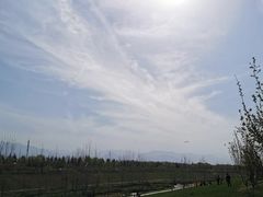 -洨河生态公园