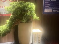 -江南足纪·影院足道·轻奢SPA(笋岗HALO广场店)