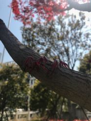 点击看大图 -艾博尔医院