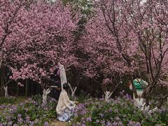 -上海海湾国家森林公园