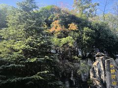 -徽园