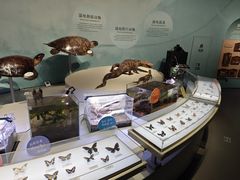 -中国湿地博物馆
