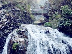 upload_pic-藏龙百瀑风景区