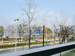 -宝荣鱼馆·临湖之宴(千岛湖店)