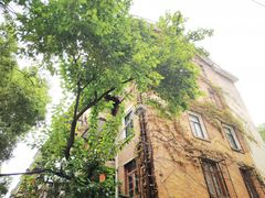 -参差咖啡(水果湖公园店)