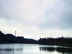 -海南热带雨林国家公园吊罗山景区