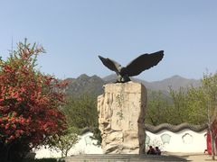 -北京鹫峰国家森林公园