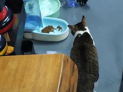 -蓝天射箭馆·专业射箭运动(诚丰广场店)