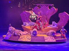 -广州长隆国际大马戏