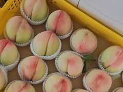 -老袁家蜜桃农场·阳山水蜜桃