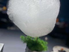 盆栽棉花糖-小大董·烤鸭(观景餐厅·南京西路店)