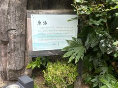 -宁海森林温泉