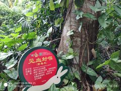-呀诺达热带雨林