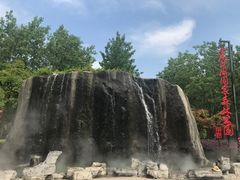 -合肥滨湖国家森林公园