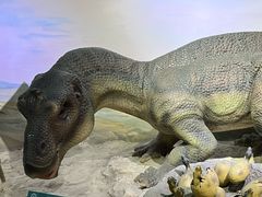 -国家自然博物馆