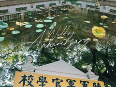 -长洲岛